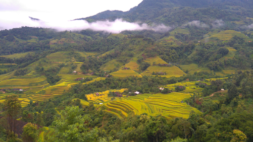 Lên Hoàng Su Phì ngắm kiệt tác ruộng bậc thang ảnh 3